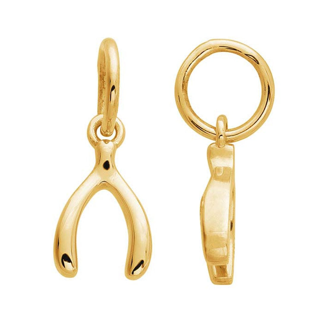14k Yellow Gold Mini Charm's