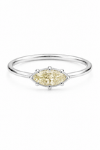 The Taylor Ring