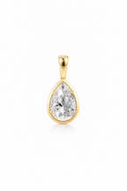 The Icon Pendant™