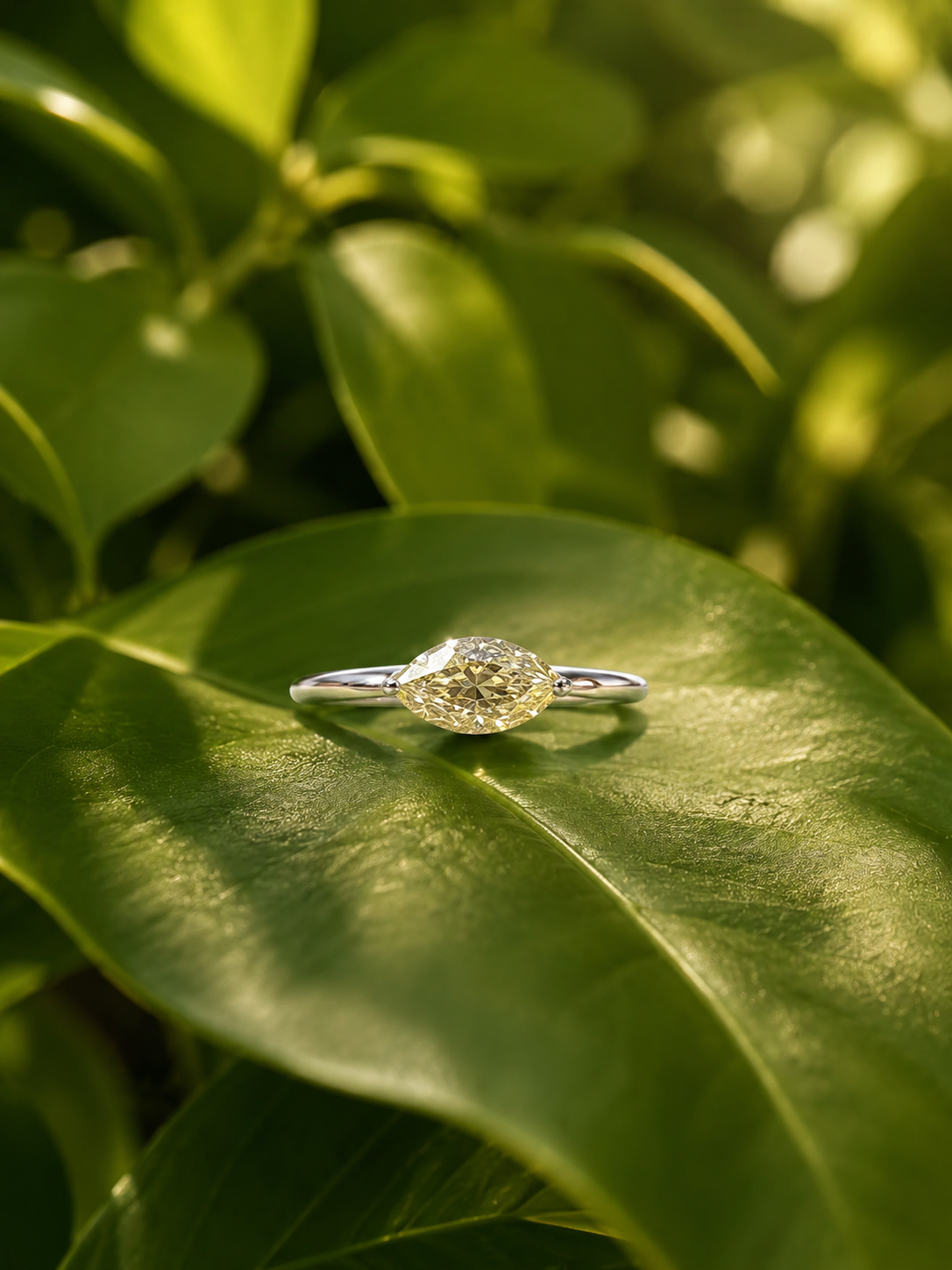The Taylor Ring