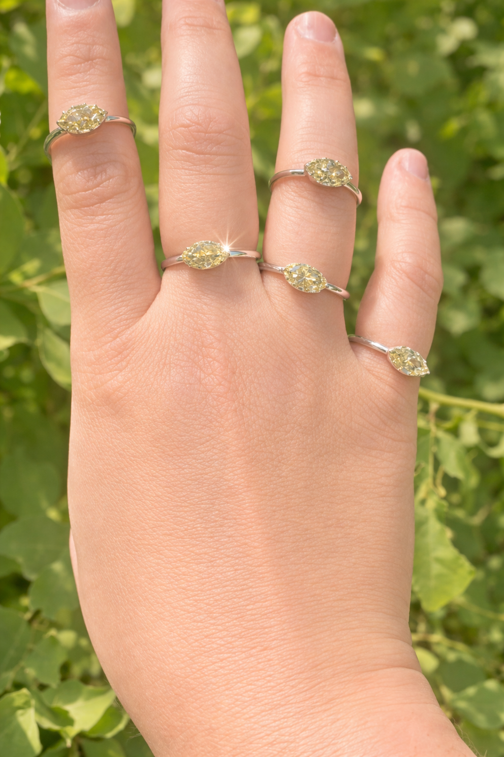 The Taylor Ring