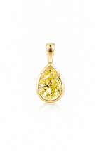 The Icon Pendant™