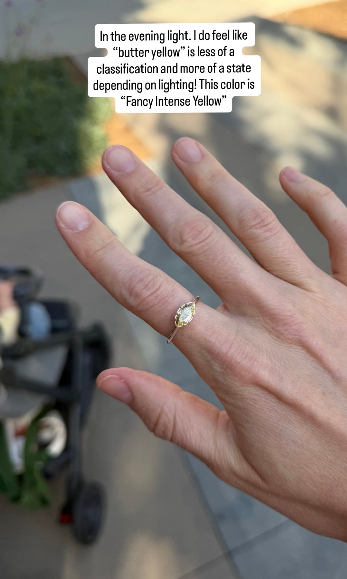 The Taylor Ring - Made to Order