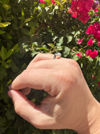 The Icon Ring™ (Natalie's Version)