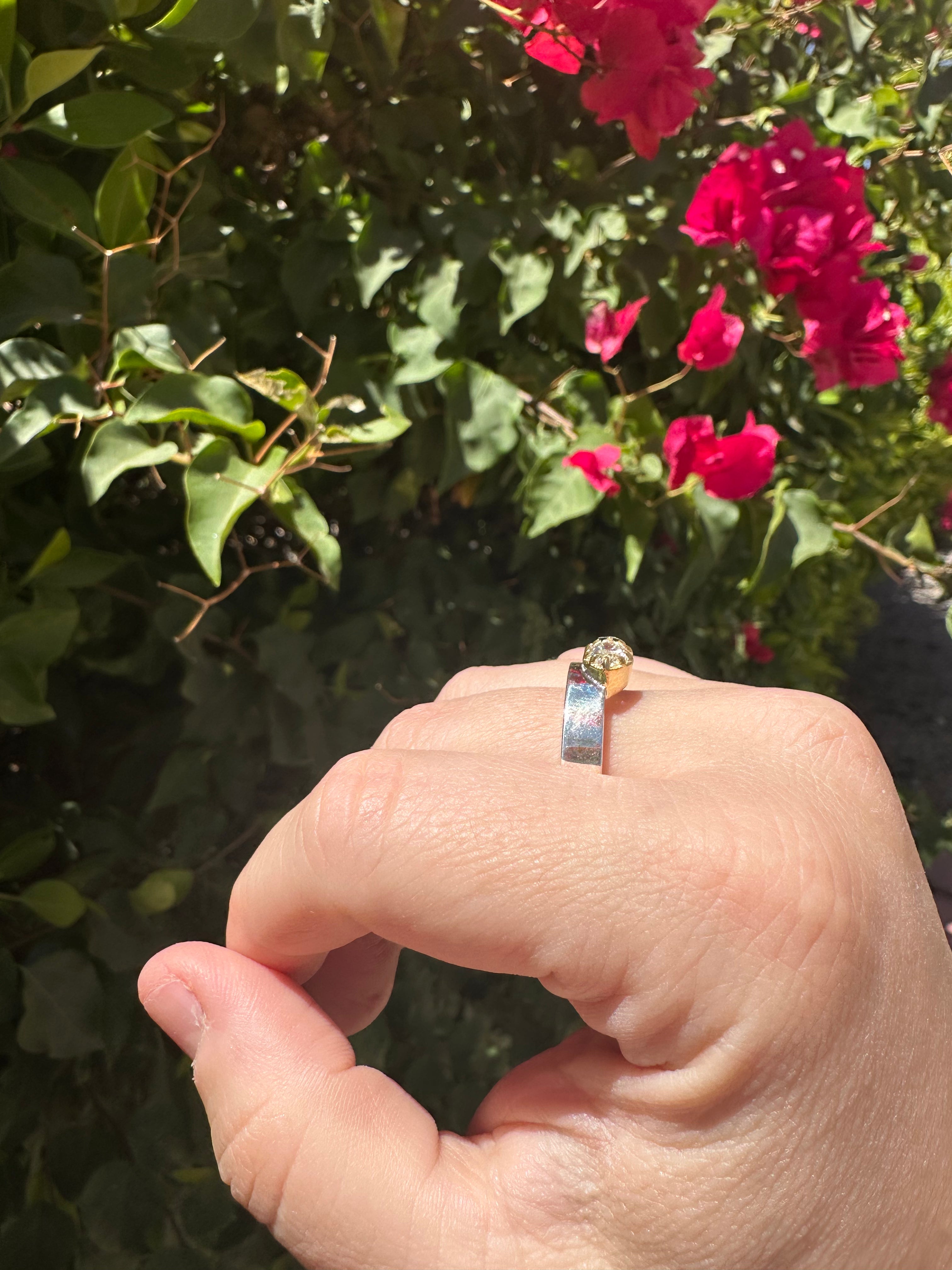 The Allie Ring