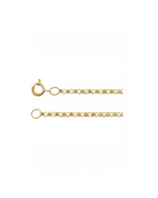 Rolo Chain in 14k Yellow Gold