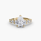 The Graduated Accent Ring