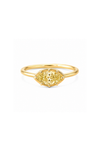 The Taylor Ring