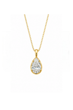 The Icon Pendant™