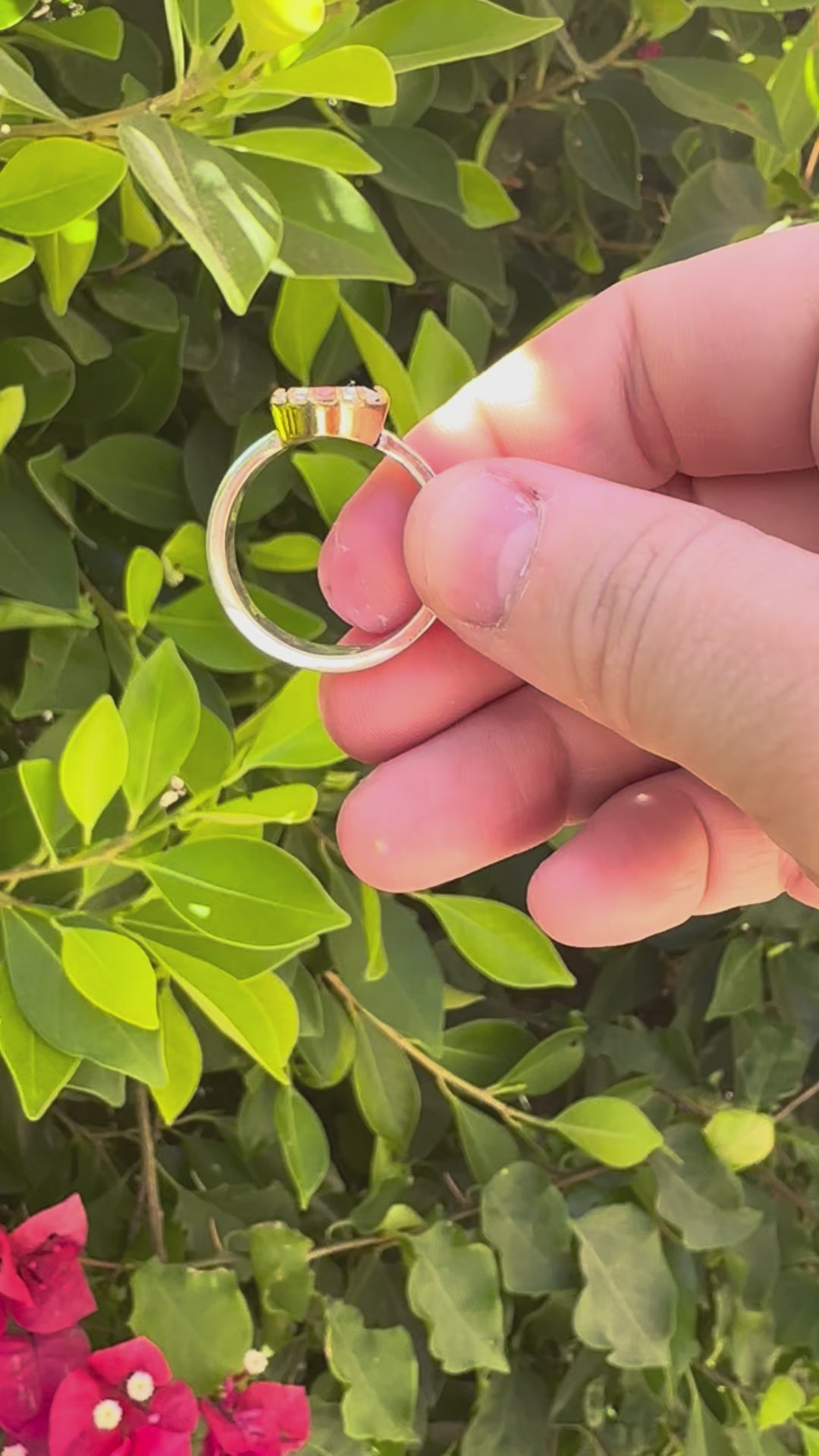The Allie Ring