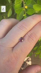 *Limited* Spinel Drop