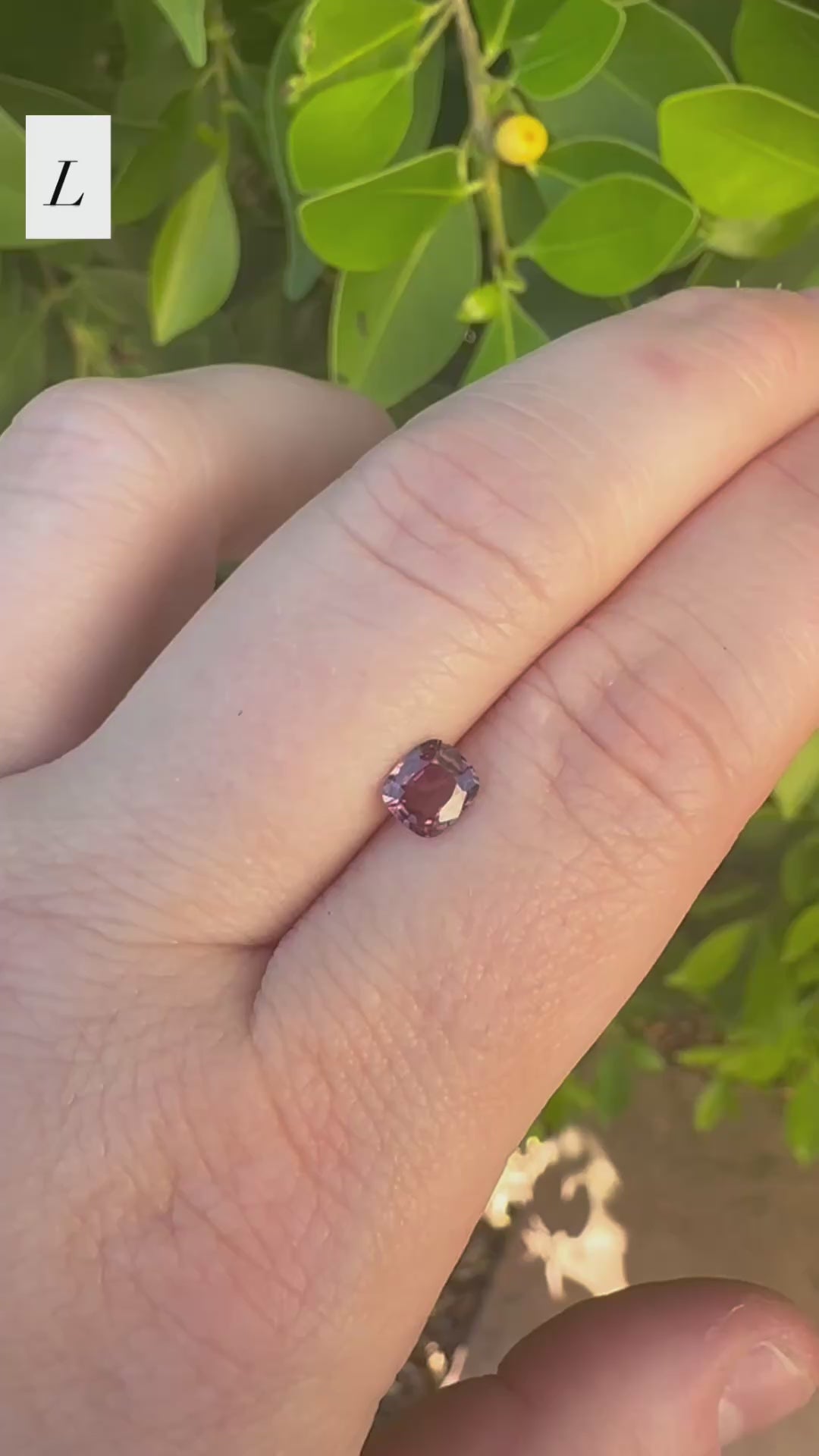 *Limited* Spinel Drop