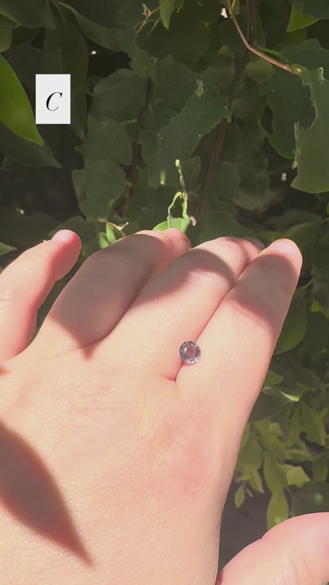 *Limited* Spinel Drop