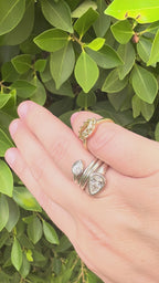 The Taylor Ring