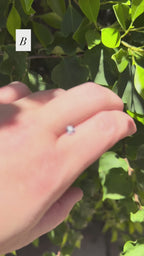 *Limited* Spinel Drop