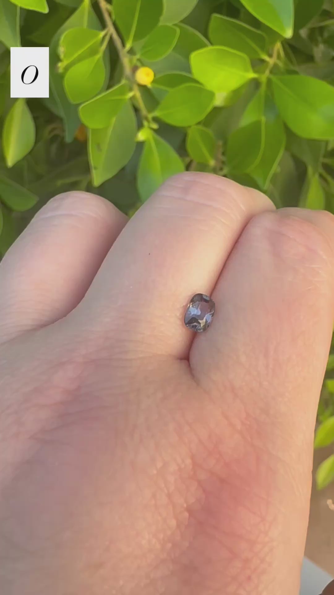 *Limited* Spinel Drop