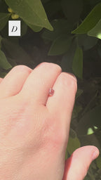 *Limited* Spinel Drop