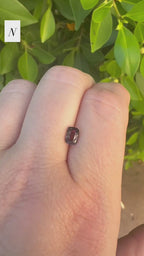 *Limited* Spinel Drop
