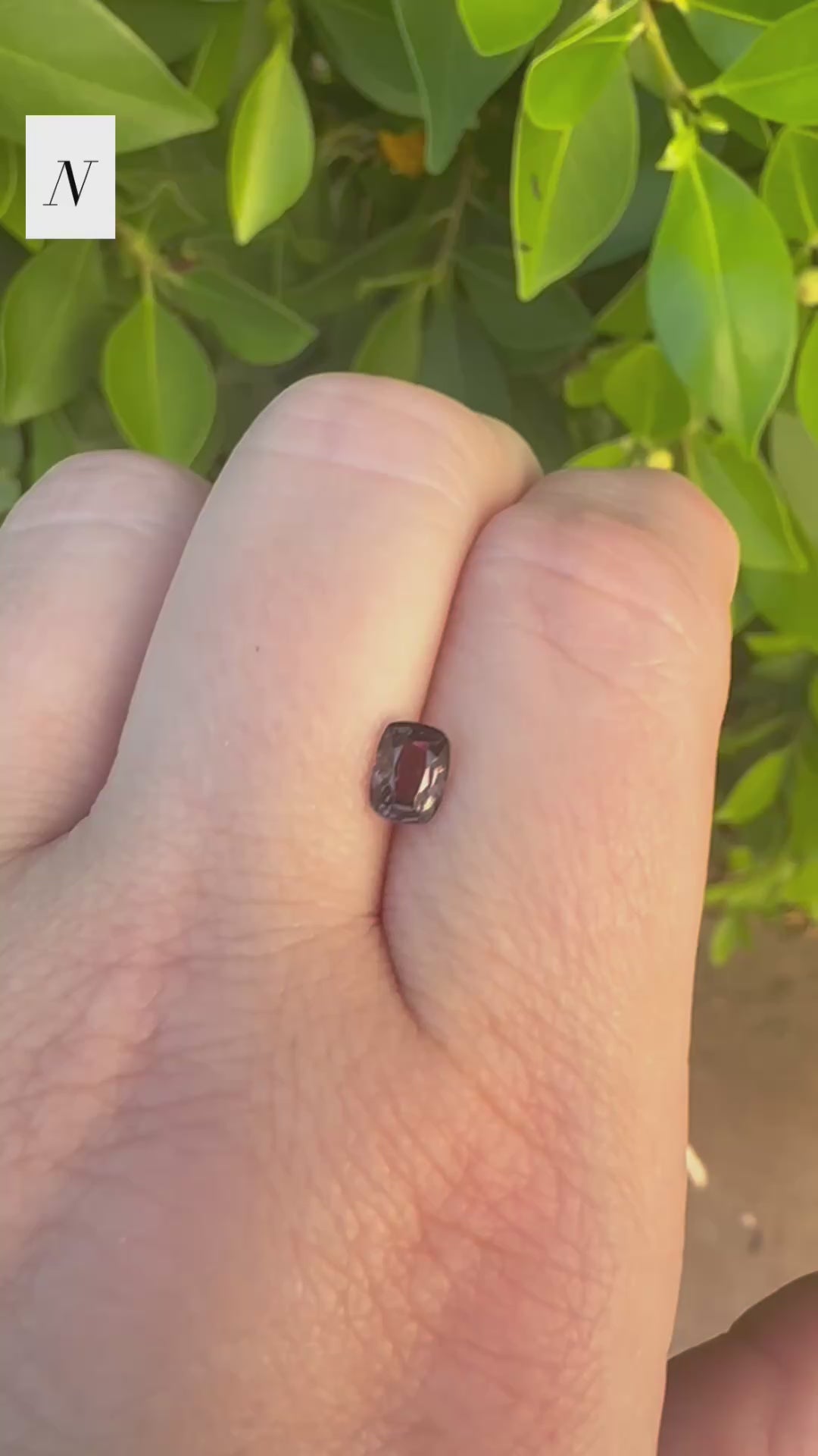*Limited* Spinel Drop
