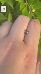 *Limited* Spinel Drop