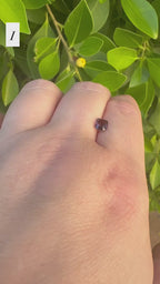*Limited* Spinel Drop
