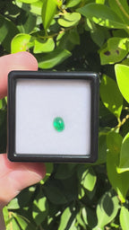 .25 Natural Cabochon Emerald