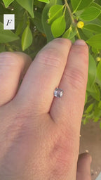 *Limited* Spinel Drop