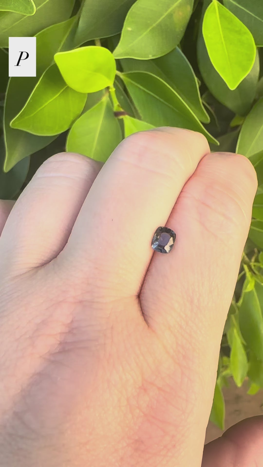*Limited* Spinel Drop