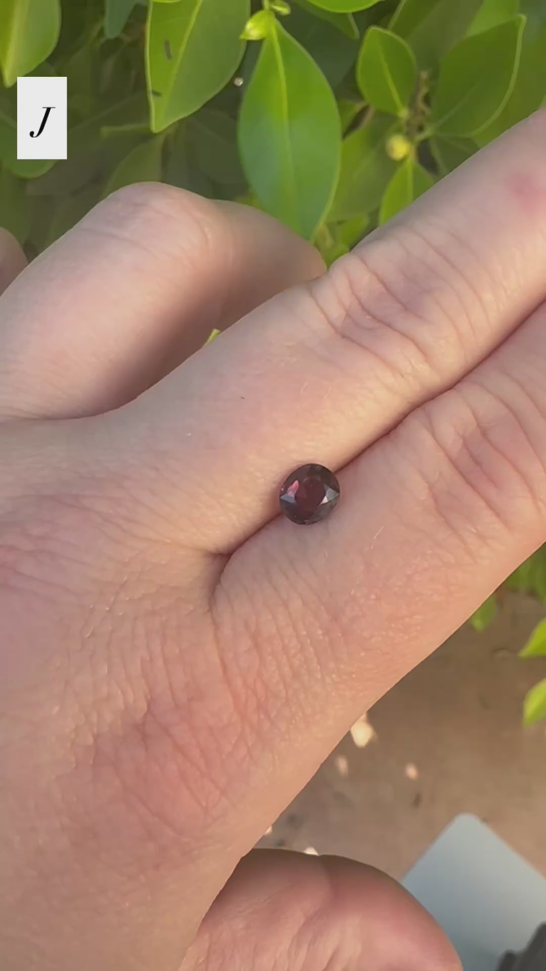 *Limited* Spinel Drop