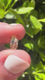 The Taylor Ring - Made to Order