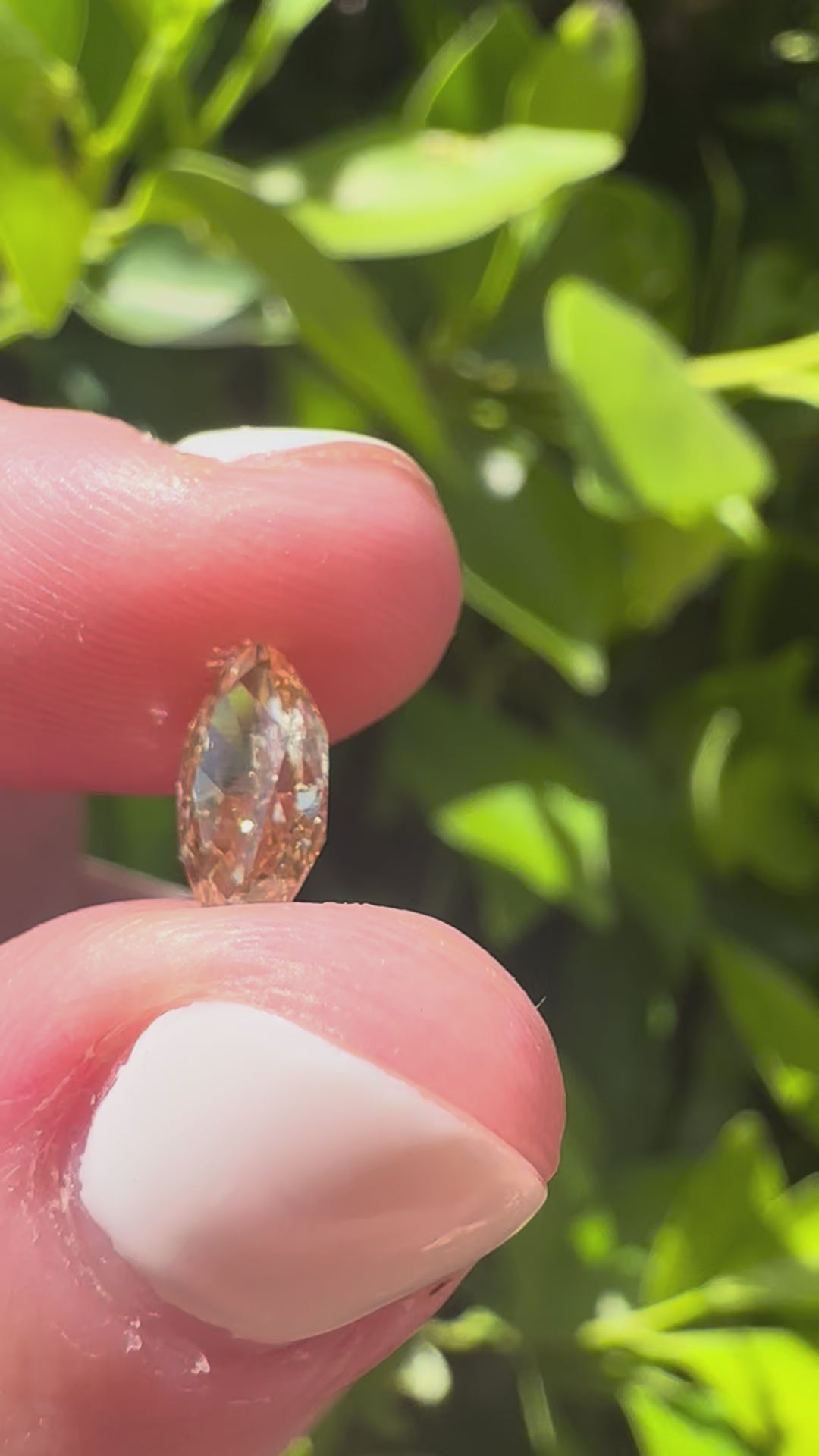 The Taylor Ring - Made to Order