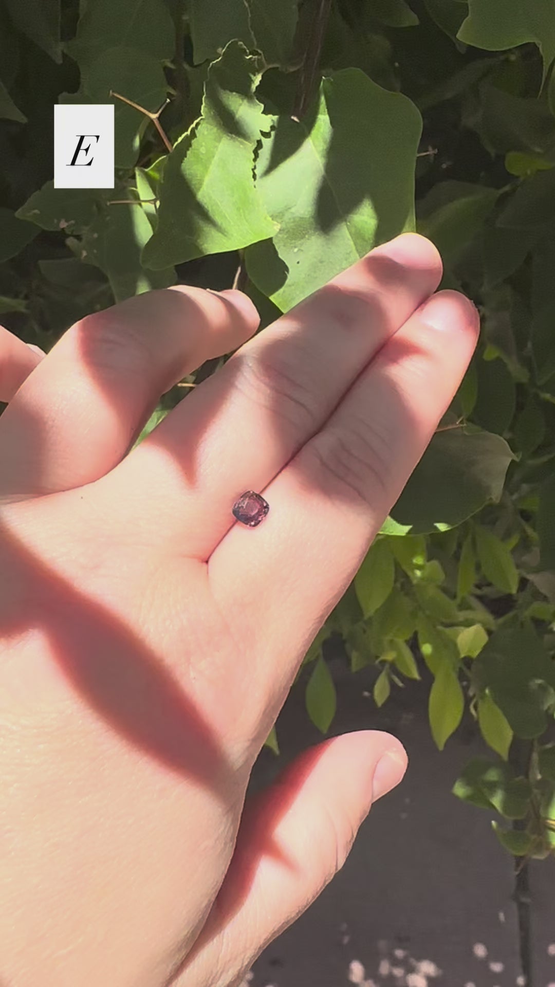 *Limited* Spinel Drop