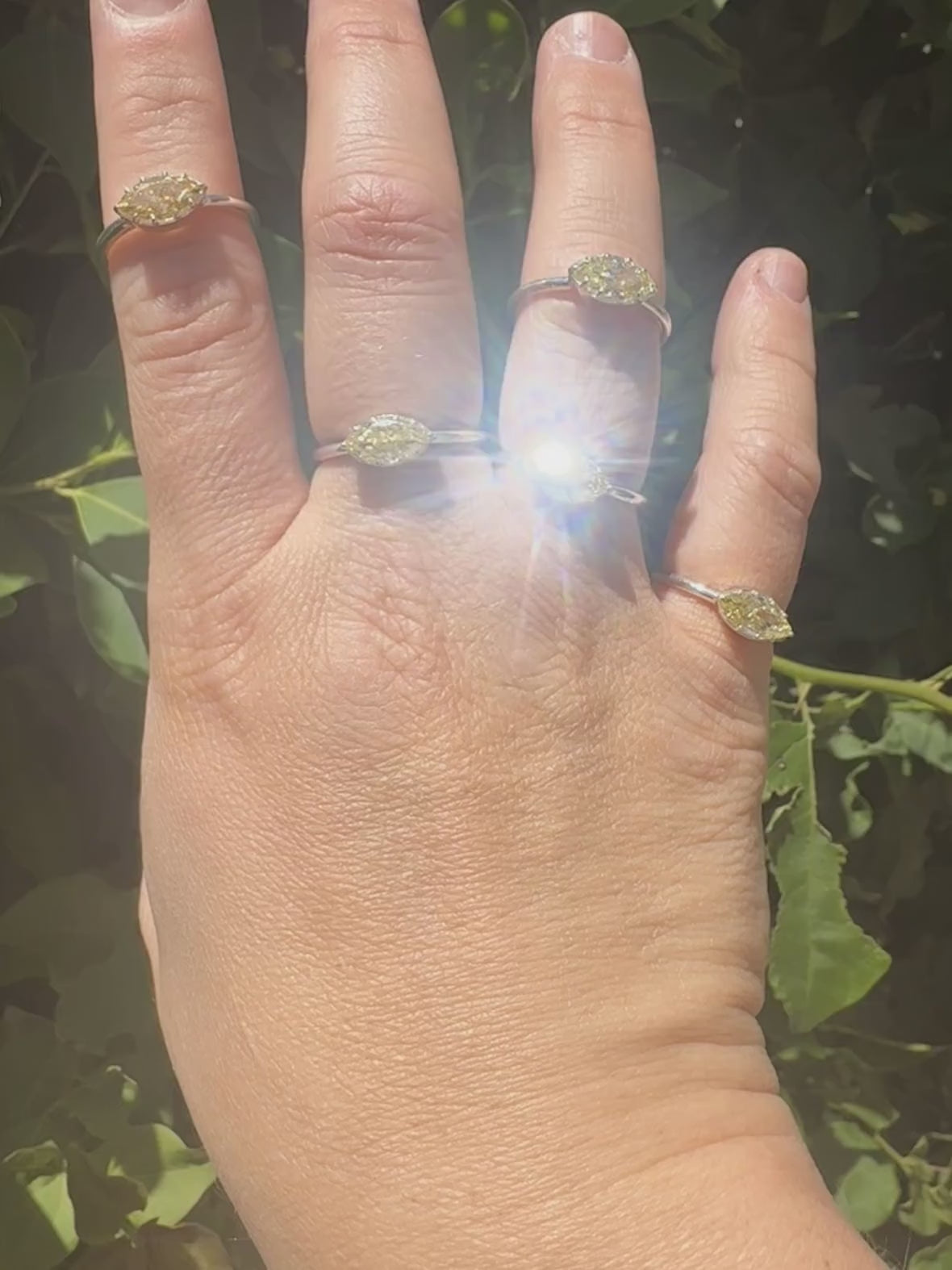 The Taylor Ring - Made to Order