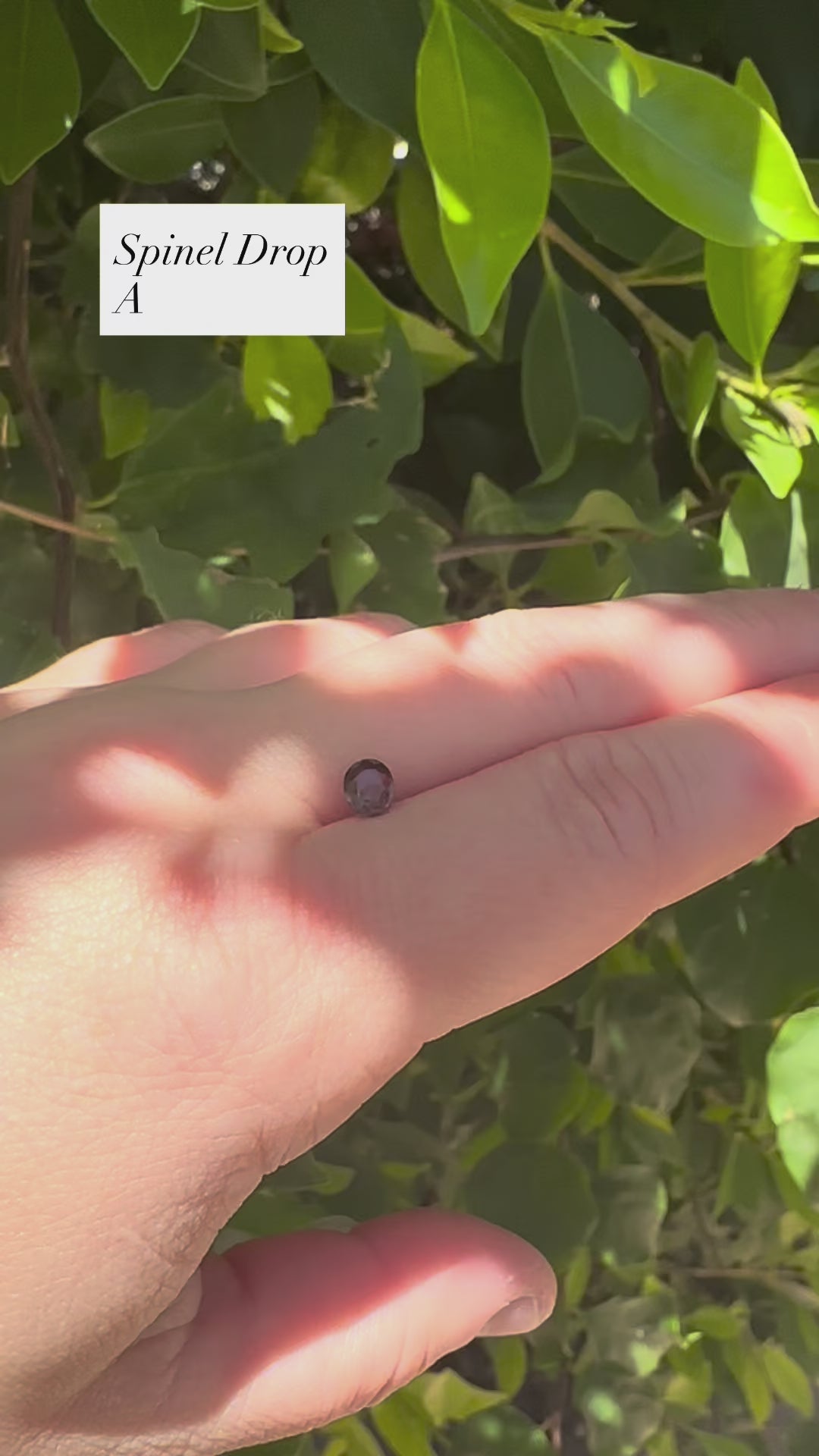 *Limited* Spinel Drop