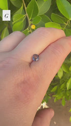 *Limited* Spinel Drop