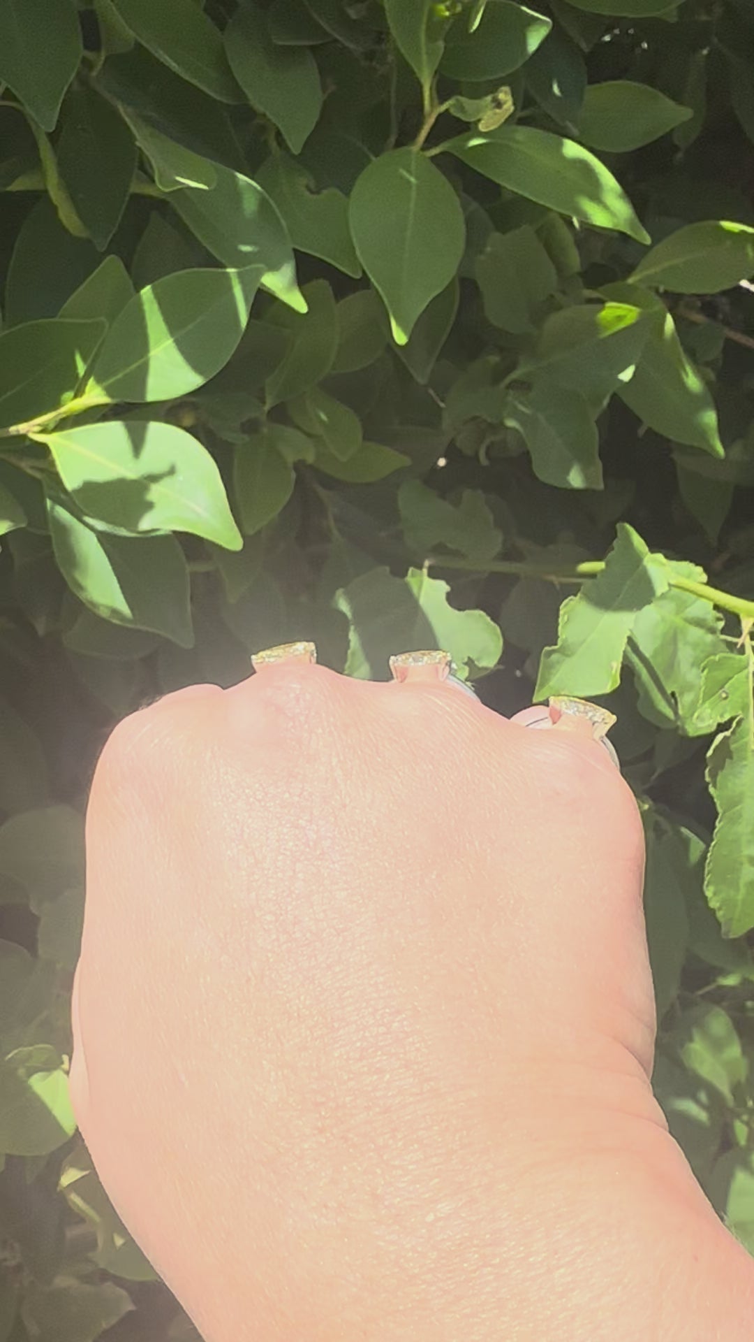 The Taylor Ring - Made to Order