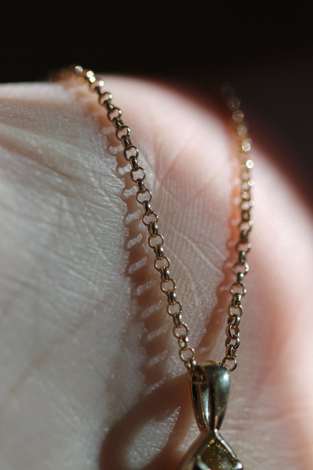 Rolo Chain in 14k Yellow Gold