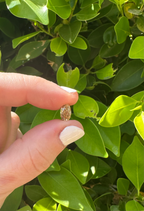 The Taylor Ring - Made to Order