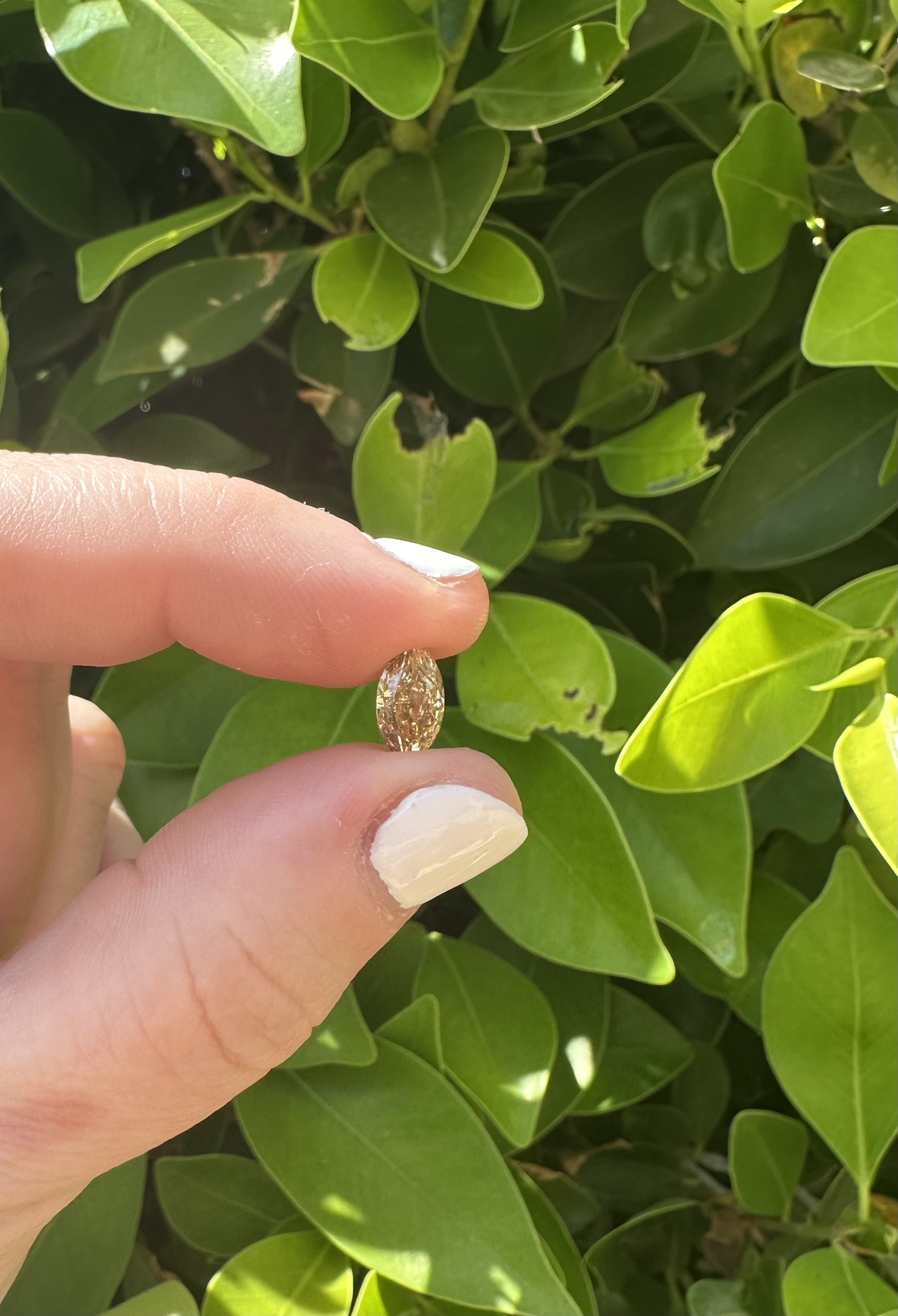 The Taylor Ring - Made to Order